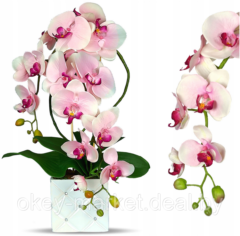 Цветочная композиция из орхидей в горшке R051