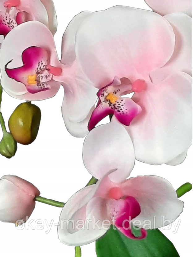 Цветочная композиция из орхидей в горшке R051 - фото 5 - id-p109455620
