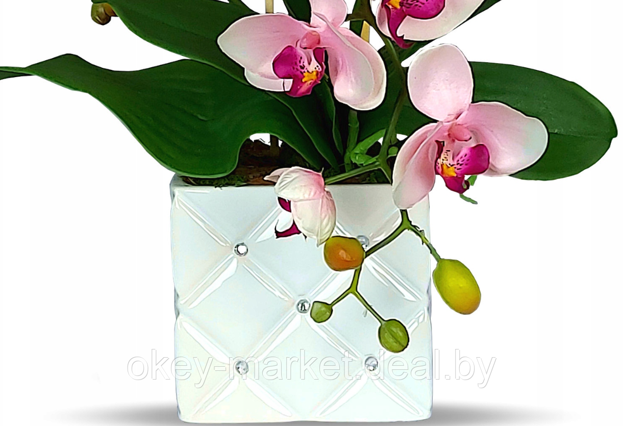 Цветочная композиция из орхидей в горшке R051 - фото 2 - id-p109455620