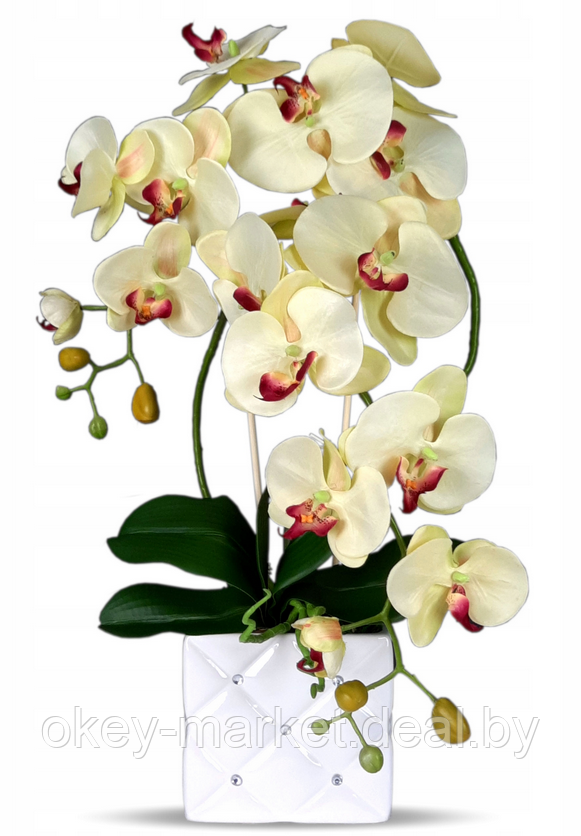 Цветочная композиция из орхидей в горшке K051, фото 2