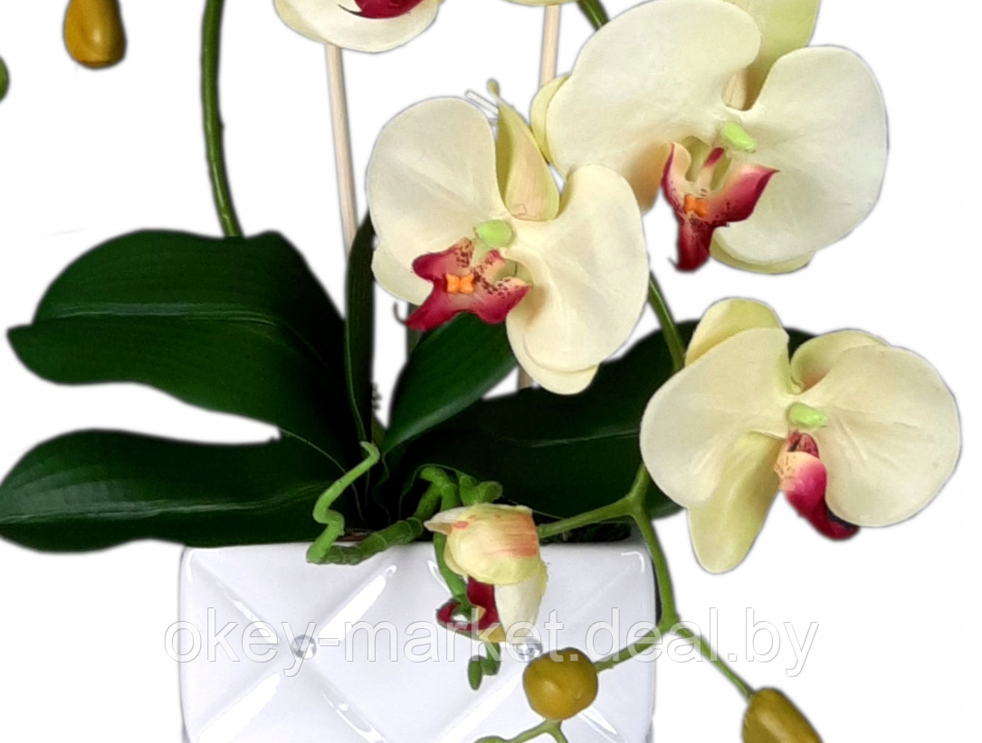 Цветочная композиция из орхидей в горшке K051 - фото 2 - id-p145777249
