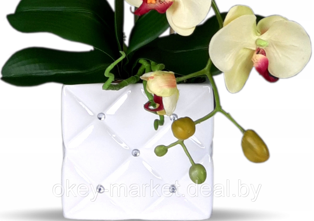 Цветочная композиция из орхидей в горшке K051 - фото 3 - id-p145777249