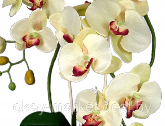 Цветочная композиция из орхидей в горшке K051, фото 2