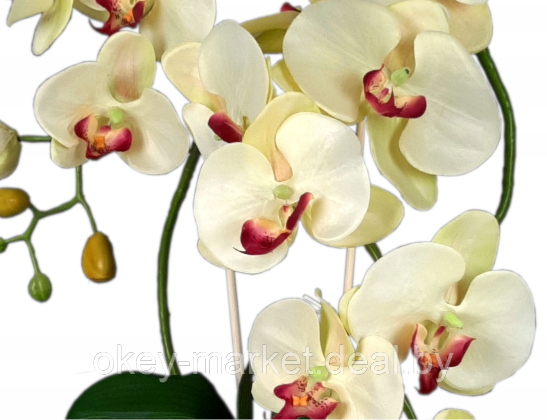 Цветочная композиция из орхидей в горшке K051 - фото 4 - id-p145777249