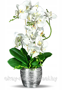 Цветочная композиция из орхидей в горшке B044