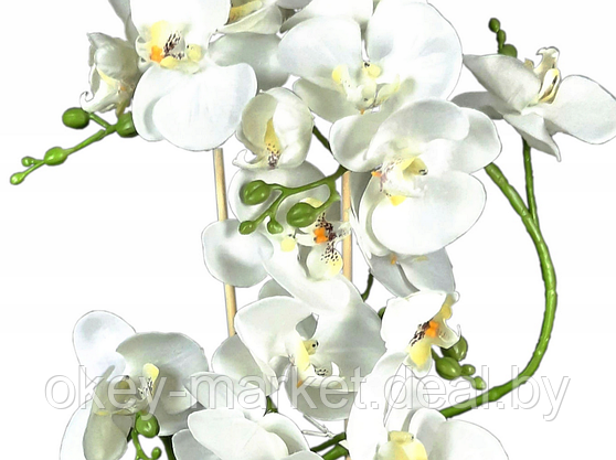 Цветочная композиция из орхидей в горшке B044, фото 3