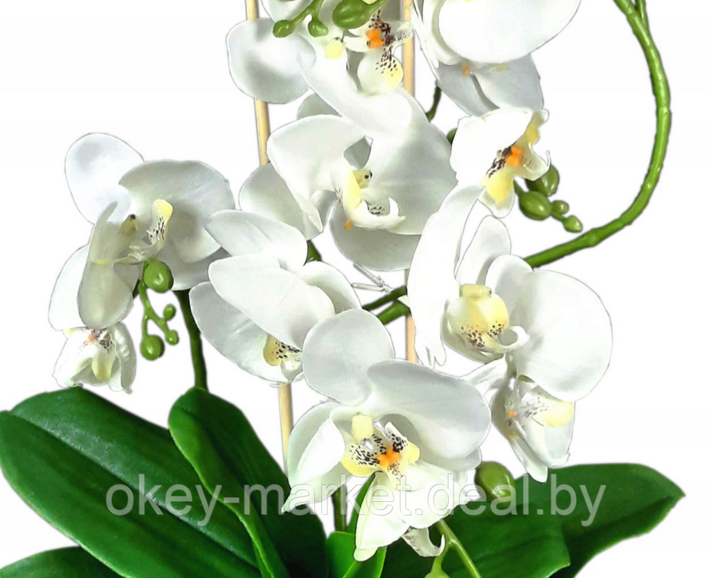 Цветочная композиция из орхидей в горшке B044 - фото 5 - id-p109455184