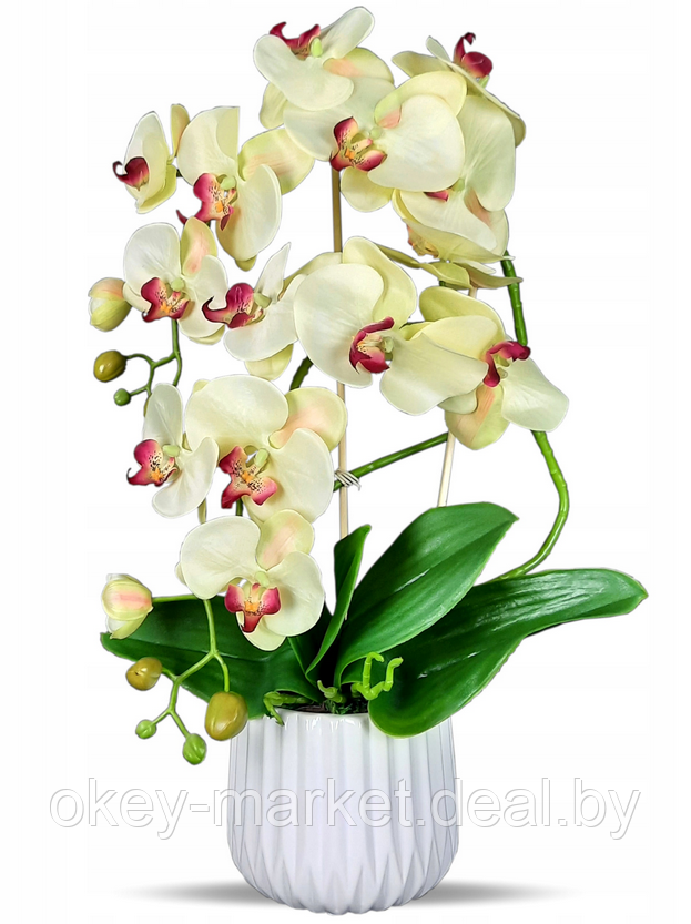 Цветочная композиция из орхидей в горшке K005, фото 2