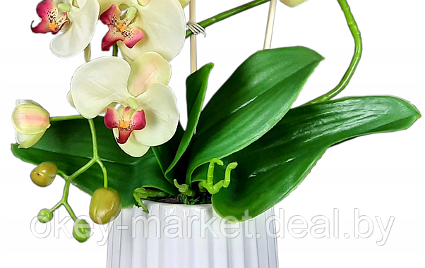 Цветочная композиция из орхидей в горшке K005, фото 3