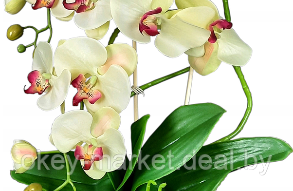 Цветочная композиция из орхидей в горшке K005, фото 3