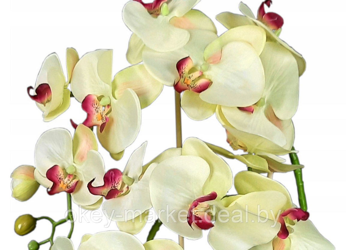 Цветочная композиция из орхидей в горшке K005 - фото 4 - id-p145778468