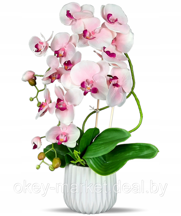 Цветочная композиция из орхидей в горшке R005