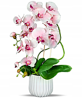 Цветочная композиция из орхидей в горшке R005