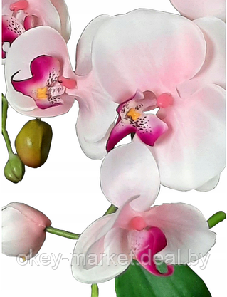 Цветочная композиция из орхидей в горшке R005, фото 2