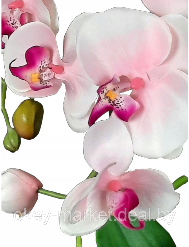Цветочная композиция из орхидей в горшке R005 - фото 2 - id-p71910215