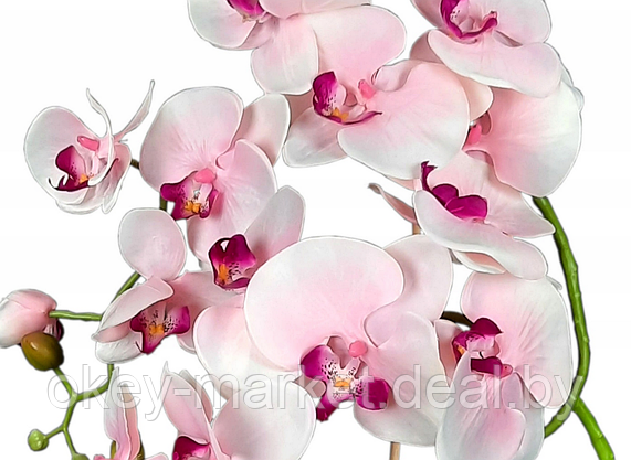 Цветочная композиция из орхидей в горшке R005, фото 2
