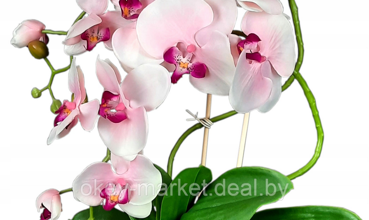 Цветочная композиция из орхидей в горшке R005 - фото 6 - id-p71910215