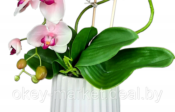 Цветочная композиция из орхидей в горшке R005, фото 3