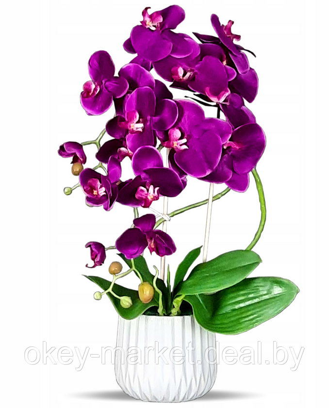 Цветочная композиция из орхидей в горшке F005