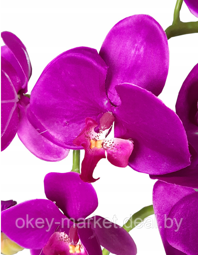 Цветочная композиция из орхидей в горшке F005 - фото 3 - id-p71910234