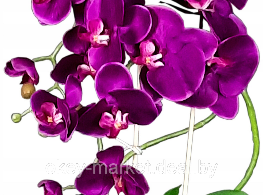 Цветочная композиция из орхидей в горшке F005 - фото 4 - id-p71910234