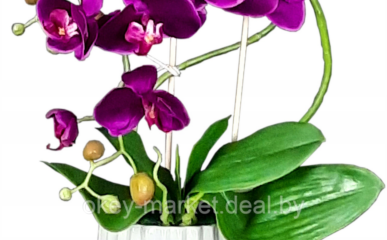 Цветочная композиция из орхидей в горшке F005 - фото 5 - id-p71910234
