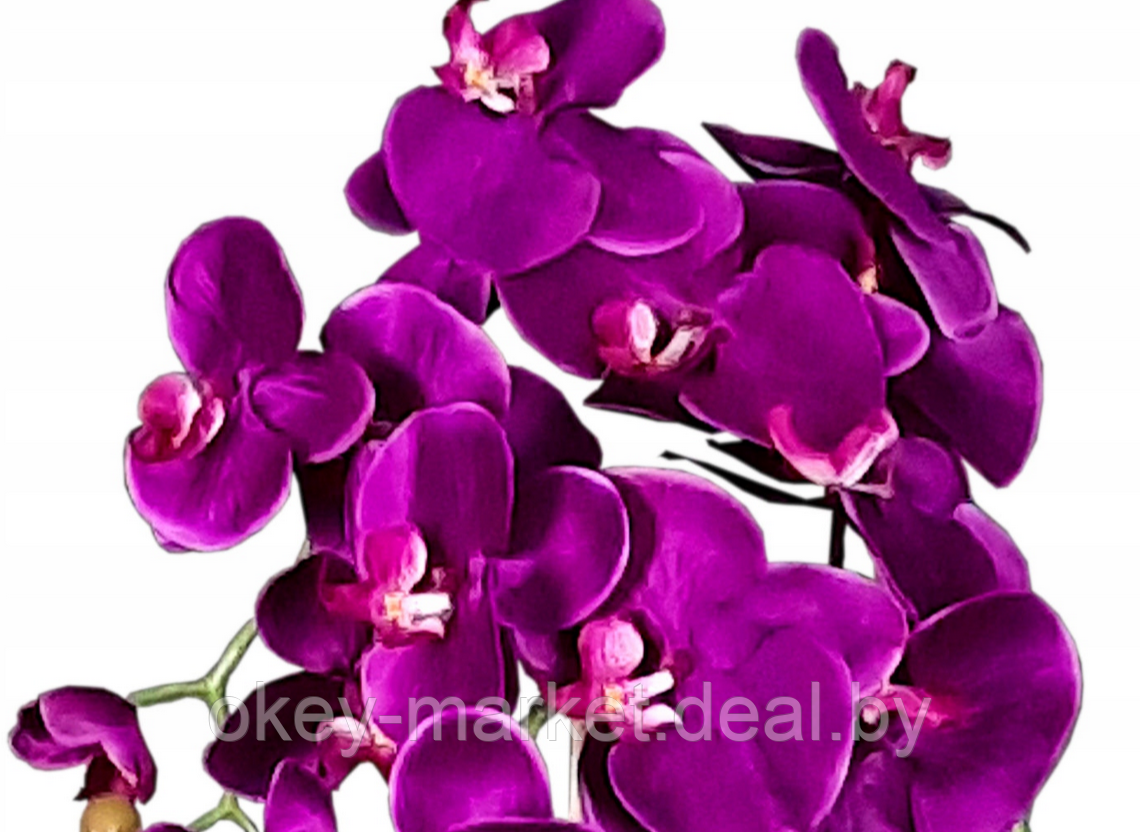 Цветочная композиция из орхидей в горшке F005 - фото 6 - id-p71910234