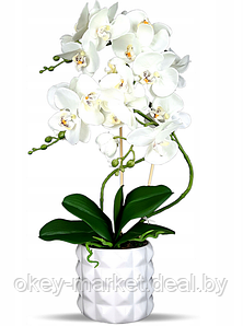Цветочная композиция из орхидей в горшке B011