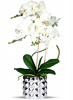 Цветочная композиция из орхидей в горшке B012