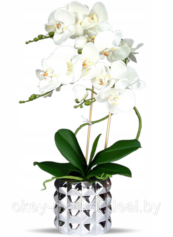 Цветочная композиция из орхидей в горшке B012 - фото 1 - id-p71910418