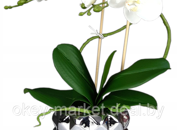 Цветочная композиция из орхидей в горшке B012, фото 3