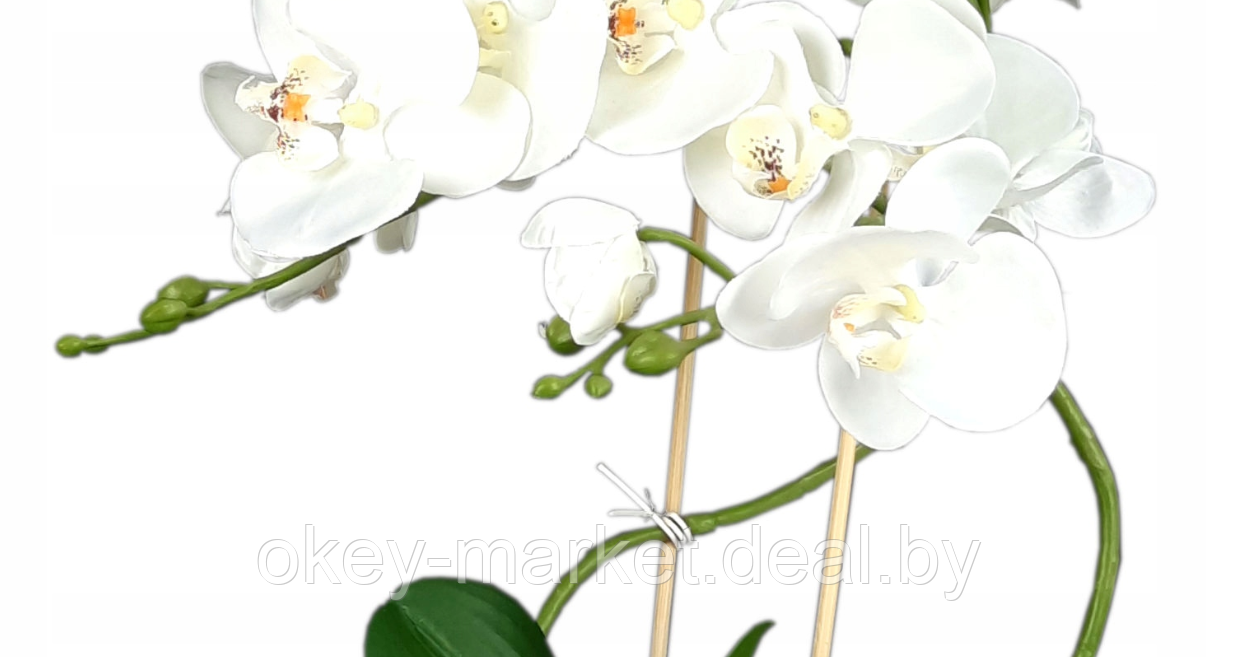 Цветочная композиция из орхидей в горшке B012 - фото 2 - id-p71910418