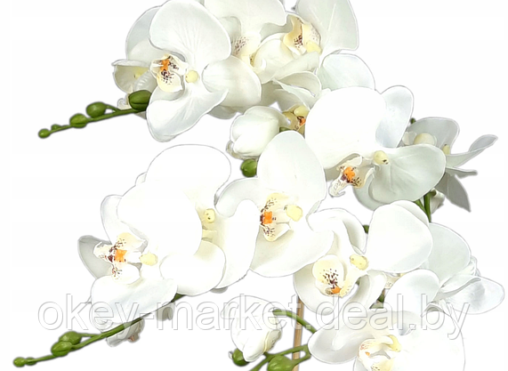 Цветочная композиция из орхидей в горшке B012, фото 2