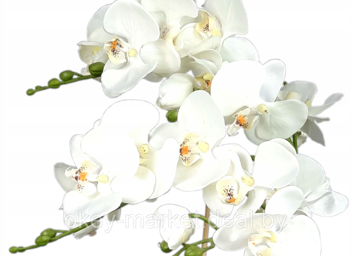 Цветочная композиция из орхидей в горшке B012 - фото 4 - id-p71910418