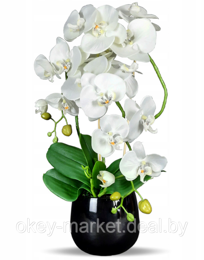 Цветочная композиция из орхидей в горшке B024, фото 2
