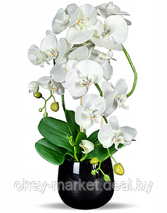 Цветочная композиция из орхидей в горшке B024