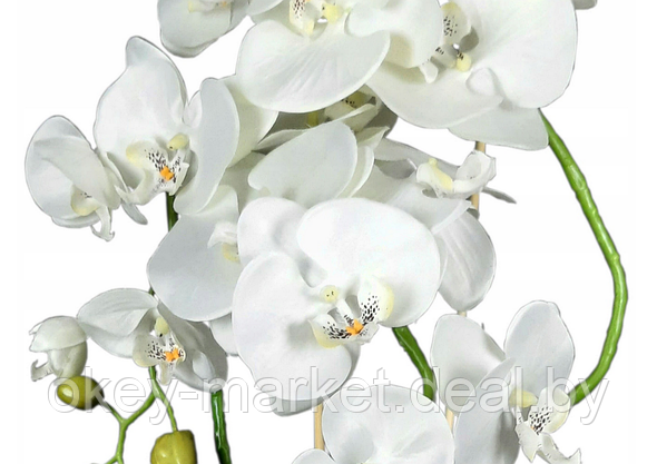 Цветочная композиция из орхидей в горшке B024, фото 2