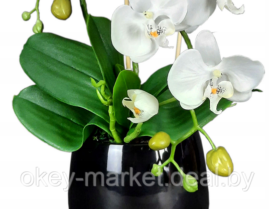 Цветочная композиция из орхидей в горшке B024, фото 3