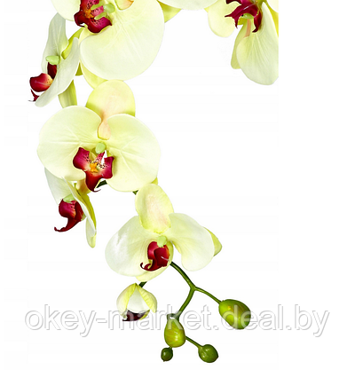 Цветочная композиция из орхидей в горшке K023, фото 2