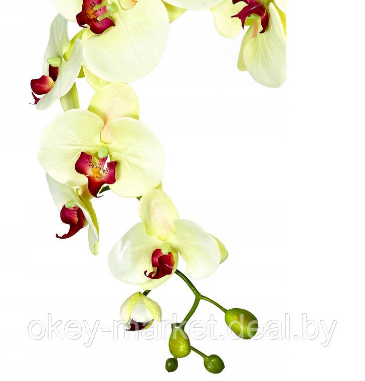 Цветочная композиция из орхидей в горшке K023 - фото 2 - id-p200174178