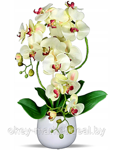 Цветочная композиция из орхидей в горшке K023