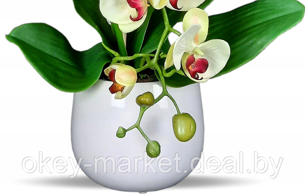 Цветочная композиция из орхидей в горшке K023, фото 3
