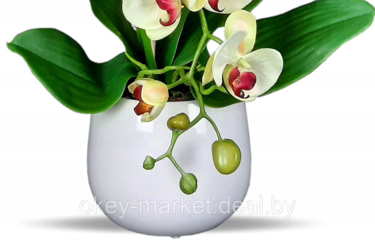 Цветочная композиция из орхидей в горшке K023 - фото 3 - id-p200174178