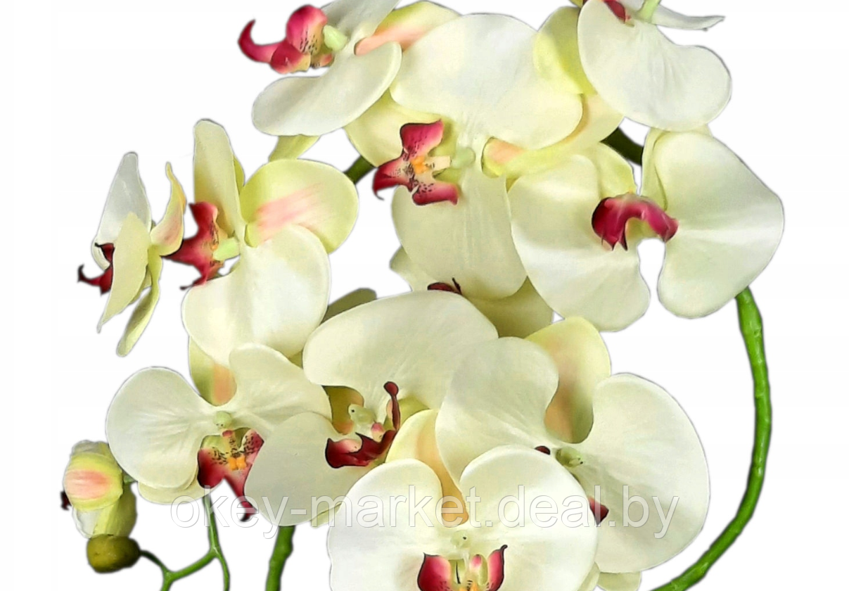 Цветочная композиция из орхидей в горшке K023 - фото 5 - id-p200174178
