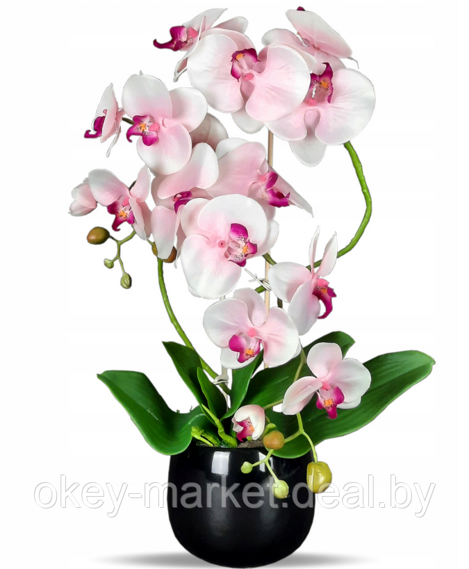 Цветочная композиция из орхидей в горшке R024