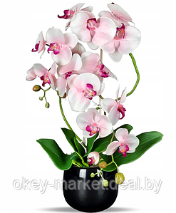 Цветочная композиция из орхидей в горшке R024