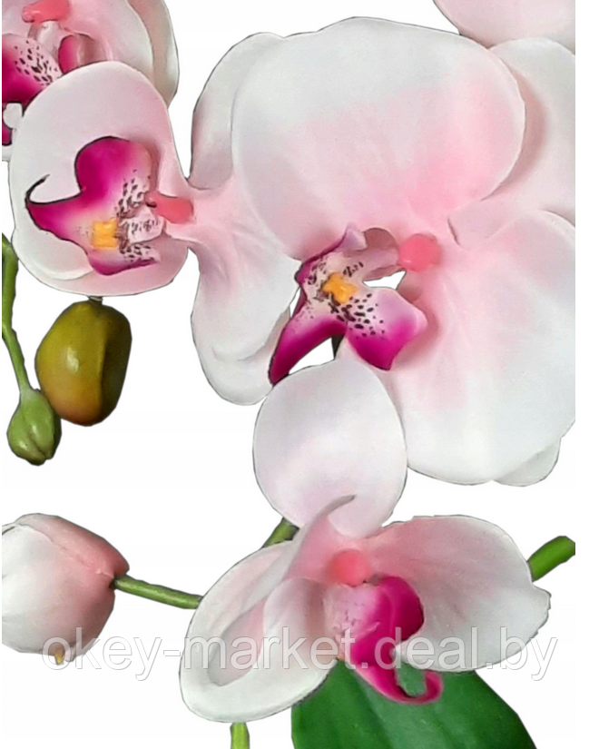 Цветочная композиция из орхидей в горшке R024 - фото 2 - id-p200174208
