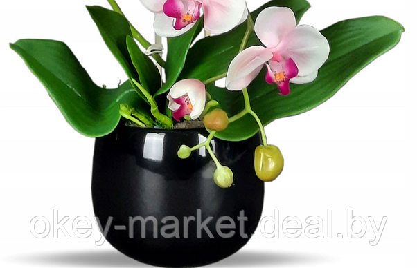 Цветочная композиция из орхидей в горшке R024, фото 3