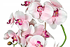 Цветочная композиция из орхидей в горшке R024, фото 3
