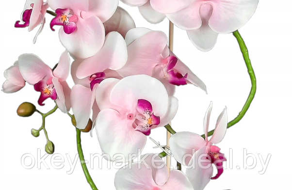 Цветочная композиция из орхидей в горшке R024, фото 2